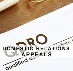 Domestic relation appeals
