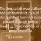 Senate Tax reform
